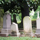 Illustration for article titled High School Reunion Horror Stories: I Disparaged The Dead